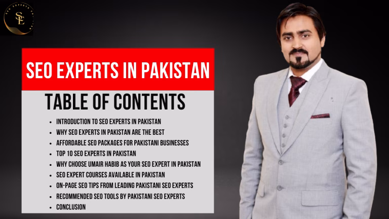 SEO Experts in Pakistan